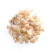 보스웰리아 추출 분말 가루 110g 인도 Boswellia Extract Powder 110g