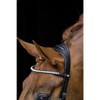 HKM Pro Anatomic Bridle 9100 Black Pony