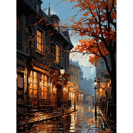 HEIBAGO Paint by Numbers for Adults, City At Night Oil Painting by Numbers Kits for Beginners, DIY Painting by Numbers Canvas Landscape Art Pictures for Birthday Gifts, 30 x 40 cm