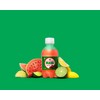 Boylan Bottling MASH Great Tasting Watermelon Lemon Lime – Lightly