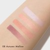 LUNASOL Eye Colouration N 08 Autumn Melo [Eye Shadow] [Eye