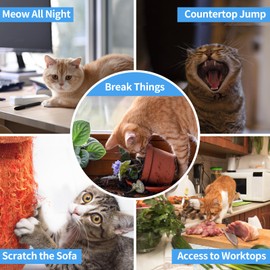 PaiPaitek Cat Shock Collar with Remote, Cat Training Collar with Auto Anti-Meow, Beep, Vibration, Safety Shock 4 Modes for Bad Behaviour, Rechargeable, Effective for Stopping Cats Meowing