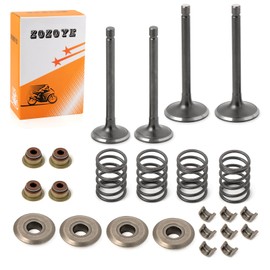 Fugi Robbin 295cc 350cc Exhaust & Intake Valve & Seals Springs Rebuild kit For EZGO 4 Cycle Gas Golf Cart MCI 2003-2008 72857-G01 72507-G01 Valve Collet Keepers and Valve Spring Retainers
