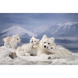Teddys Rothenburg Kösen Polar Wolf Puppy, 20 cm, Standing, White, Plush Polar Wolf Puppy, Plush Wolf