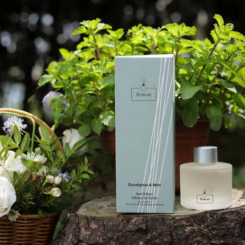 Brakula Eucalyptus & Mint Reed Diffuser Set, Home Fragrance Oil