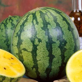 Yellow Gem Sweet Watermelon Seeds - 3 g Packet ~35 Seeds - Non-GMO - Fruit & Vegetable Garden - Citrullus lanatus
