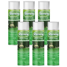 ‎Seymour Paint 20-602 Grass and Shrub Renew, Pristine Green – Professional-Grade Brown Spot Concealer, Easy Point and Spray Application (17 oz). (Pack of 6)