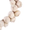 Leadigol Artificial Garlic String - Fake Vegetables Photography Props, Simulation