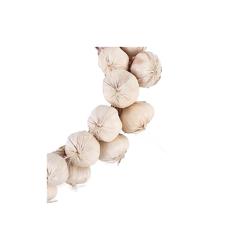 Leadigol Artificial Garlic String - Fake Vegetables Photography Props, Simulation