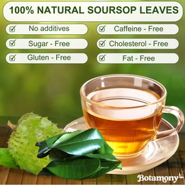 BOTAMONY 50 Premium Soursop Graviola Leaf Tea Bags 2.5g/ teabag, Soursop Leaves Organic, Hojas de Guanabana Organica, Guanabana Leaves Tea Handmade Non-GMO Sugar/Caffeine/Gluten Free
