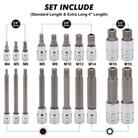 CASOMAN Spline Tip Bit Socket & XZN Triple Square Spline Bit Socket Set, 1/2 & 3/8 & 1/4-Inch Drive, 20-Piece Set, M4-M18, 12 Point Tamper Proof, CR-V & S2 Steel