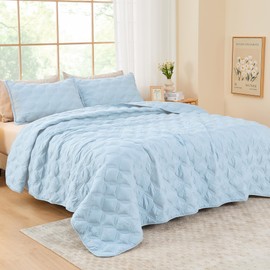 Litanika Queen Quilt Bedding Set, Light Blue Summer Lightweight Soft Comforter Bedspreads & Coverlets, Boho Farmhouse Bedding Cover Bed Decor All Season, 3 Pieces (1 Quilt, 2 Pillowcases)