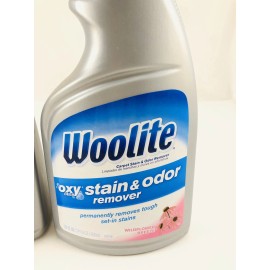 Woolite Oxy Deep Carpet Stain & Odor Remover 22oz Wildflower Breeze Lot Of 2
