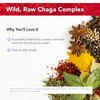 Physician's Strength Chag-Immune - 2 fl oz - Wild Chaga
