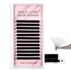 Arison Lashes Easy Fan Lashes 0.07 C Curl 9mm Eyelash