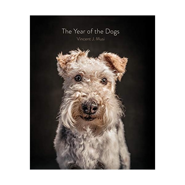 The Year of the Dogs