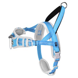 ADVENTUREMORE Dog Harness for Small Dogs No Pull, Dog Halter Harness Adjustable Reflective Dog Vest Escape Proof Dog Harness with Easy Control Front Clip Handle for Training Walking XS Blue