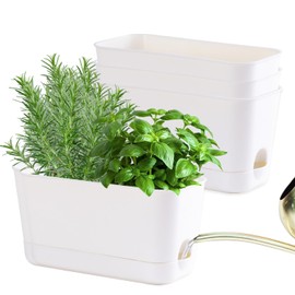 Oliz 10 Inch Self Watering Planters for Indoor Plants: 4 Packs Rectangular Plant Pots with with Drainage and Tray, Window Pot Self Watering Planter for Herb, Houseplants