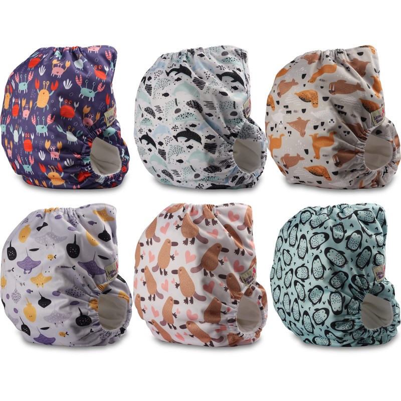 Littles & Bloomz 6 Reusable Pocket Cloth Nappies (Popper), P0601