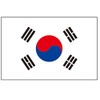 8 Large South Korea Flag Tattoos: Korean Party Favors