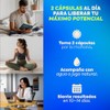 Nootropico Adaptógeno con Hongo Melena de León Bacopa L-Tirosina Hack