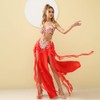 ROYAL SMEELA Belly Dancer Costumes for Women Belly Dancing Skirt