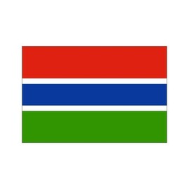 Gambia Flag 3ft x 5ft Polyester