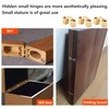 Qrity Pack of 3 Concealed Copper Hinge, Barrel Hinge Invisible,