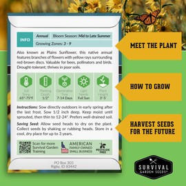 Native Prairie Sunflower Seeds for Planting (Helianthus petiolaris) | Compact Drought Tolerant | Pollinator Magnet | Non-GMO Wildflower to Plant - Survival Garden Seeds - 1 Pack