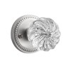 SORWDUERM 1 Pack Crystal Door Knobs Nickel Door Knob Brushed