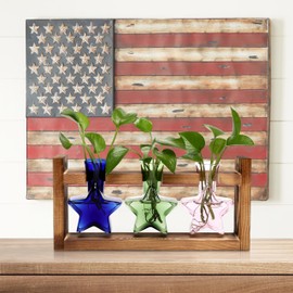 Plant Propagation Station Plant Terrarium US Patriotic Star Unique Birthday Gifts for Women Plant Lovers Planter with Wooden Stand