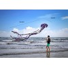 Kizh Kite Octopus Large Frameless Soft Parafoil Kites 157 Inchs