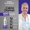 2 Shampoo Grisi Organogal Silver Canas Platinadas 400ml