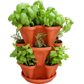 3 Tiered Stackable Indoor Outdoor Vertical Herb Planter - Learn How to Grow Organic Herbs Easy with These Terra Cotta Plastic Containers - Great Garden Planting Pots - Planters Also Used for Strawberries Peppers Flowers Tomatoes Succulents Green Beans Hy