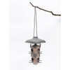 Robin 3-in-1 Bird Feeder and Bath - Anthracite