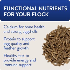 FLOCKLEADER Freedom Fly, All American Dried Black Soldier Fly Larvae Poultry Treats, 5 lb