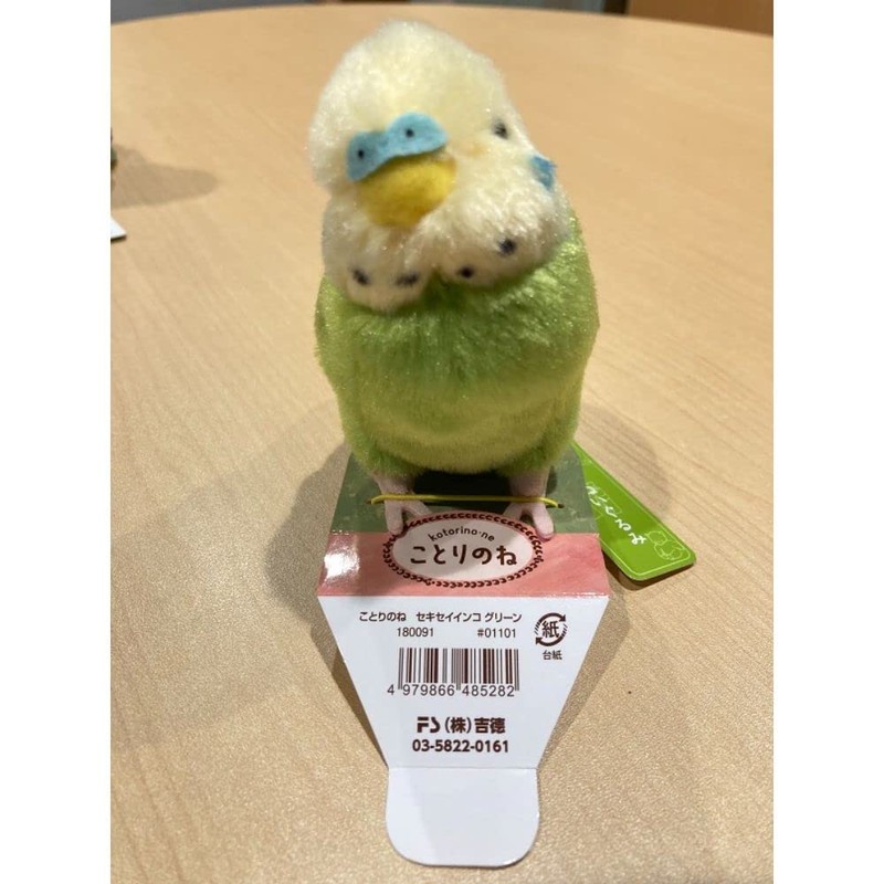 Kotorinone Budgerigar, Green 180091