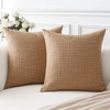 Artscope Light Brown Cushion Covers Set of 2 Linen Decorative