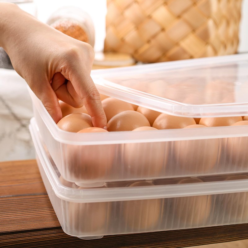 HANSGO Deviled Egg Carrier with Lid,2 Pack Deviled Egg Containers