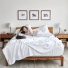 AR Ware Double Fitted Sheet 100% Egyptian Cotton 300 TC,