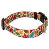 Country Brook Design 1 Inch Adjustable Dog Collar for Small,
