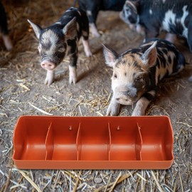 Pig Feeder Plastic Feed Troughs For Pigs : 5 Compartment Pig Trough Feeder Fence Feeder For Goat Pigs Livestock