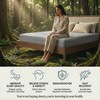Grounding Sheets for Improving Sleep Quality,25% Pure Silver Fiber+Organic Cotton,Bedding