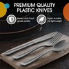 Disposable Silver Plastic Spoons 100 Pcs - Heavy Duty Silver