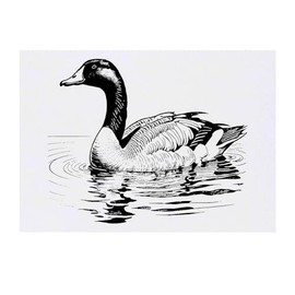 Large 'Goose Swimming' Temporary Tattoo (TO00071671)