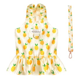 PETPUBGNZS Small Dog Dress Harness and Leash Set Cute Princess Birthday Dog Dresses Soft Fruit Print Puppy Dresses Girl Dog Clothes for Small Dogs Cats Chihuahua Yorkie Shih Tzu (Yellow Pineapple,M)
