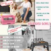 Mess Proof Dog Bowls, No Mess Dog Food and Water