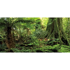 AWERT 72x16 inches Forest Terrarium Background Stone Green Huge Tree Reptile Habitat Background Tropical Rainforest Aquarium Background Polyester Background