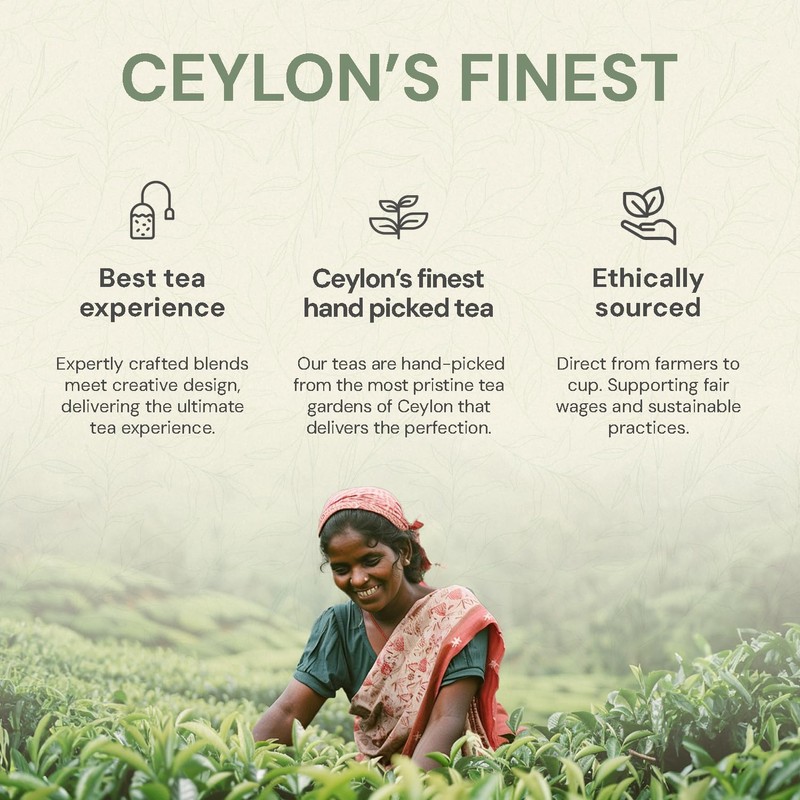 Basilur Green Tea Assorted (5x4x2g)