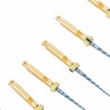 6pcs F1 Endodontic Canal Files Stretchy Metal Portable Rustproof Endodontic